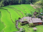 bali-1230x780-002
