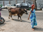 img_0067 img_0067