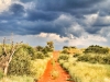 tswalu83-7x4