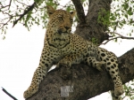 south-africa-ii-016