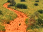 tswalu066 tswalu066