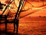 img_0036 img_0036