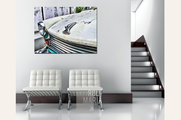 nivo slider image